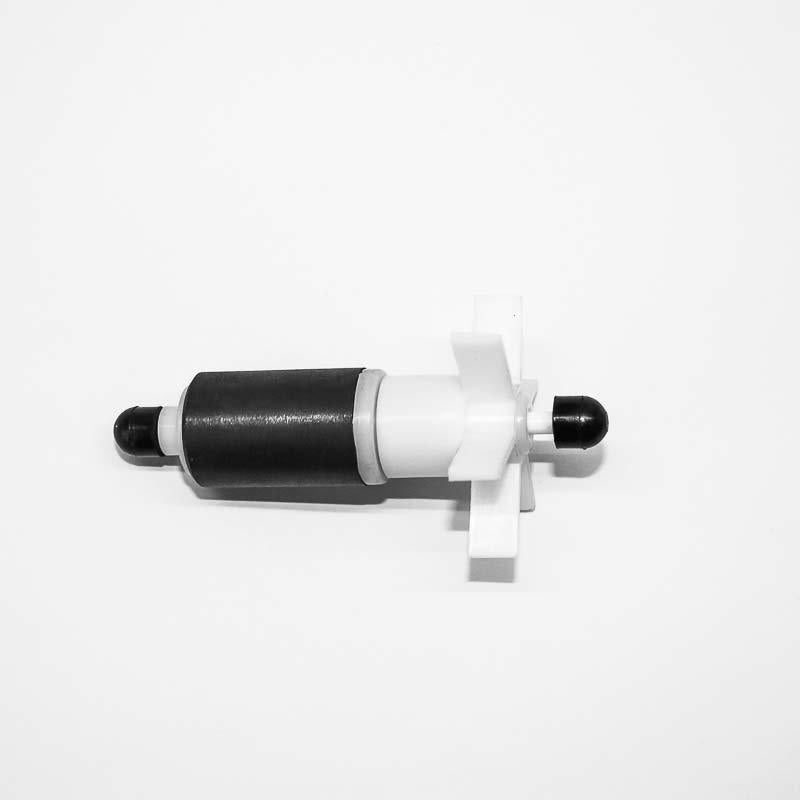 53174662857033_image1