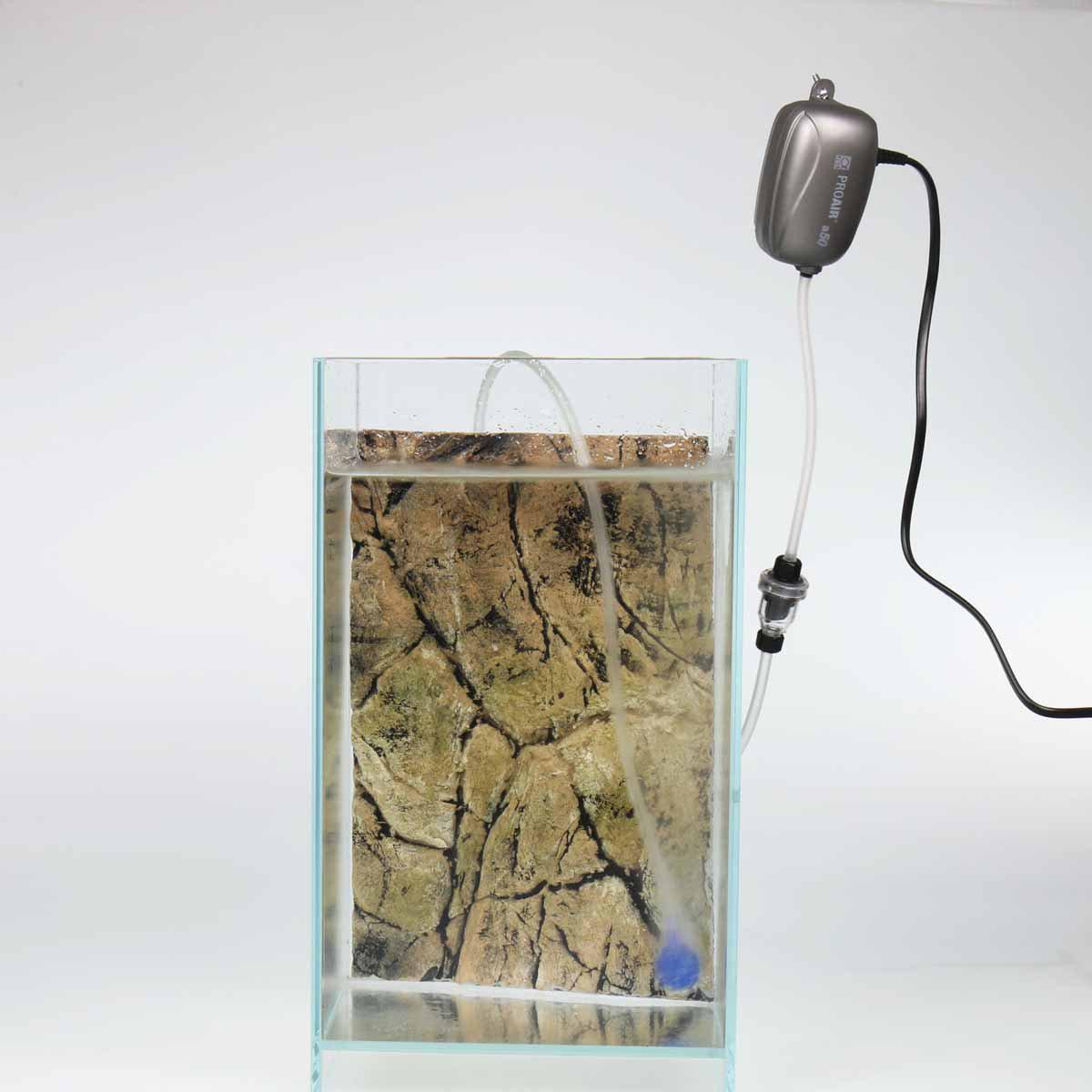 126.0930_image3
