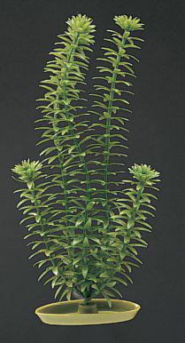 53178047660361_image1