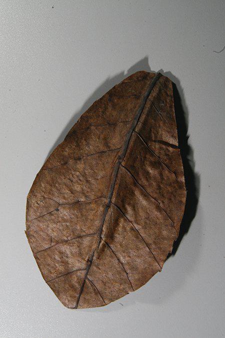 141.5012_image4