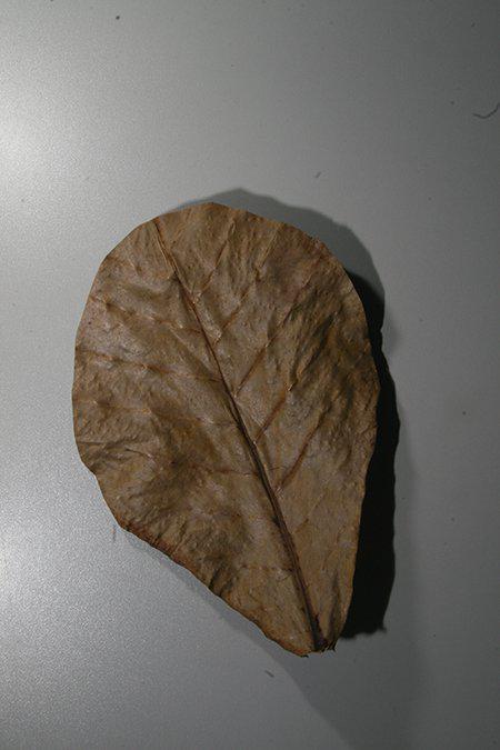 141.5012_image6