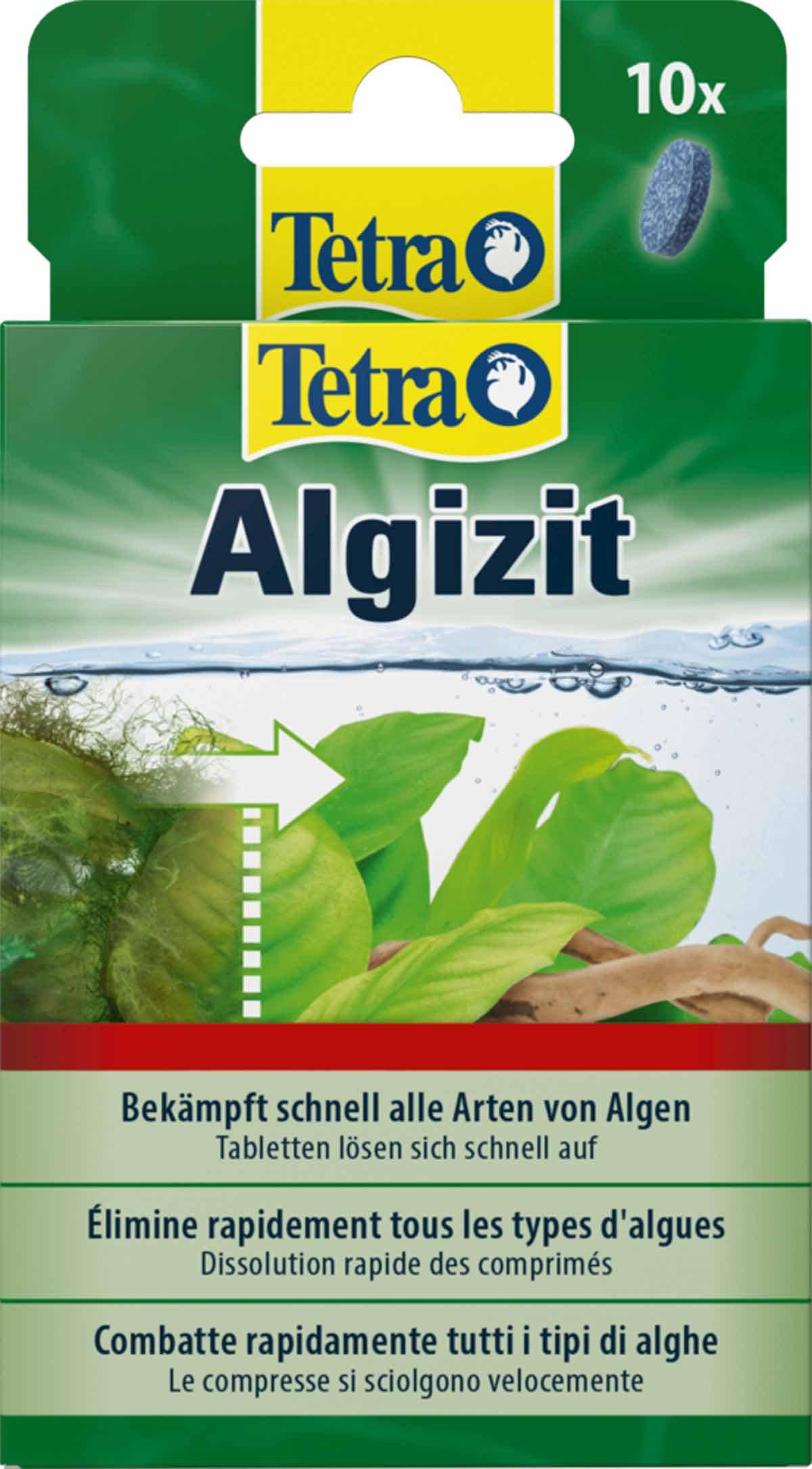53178729824585_image1