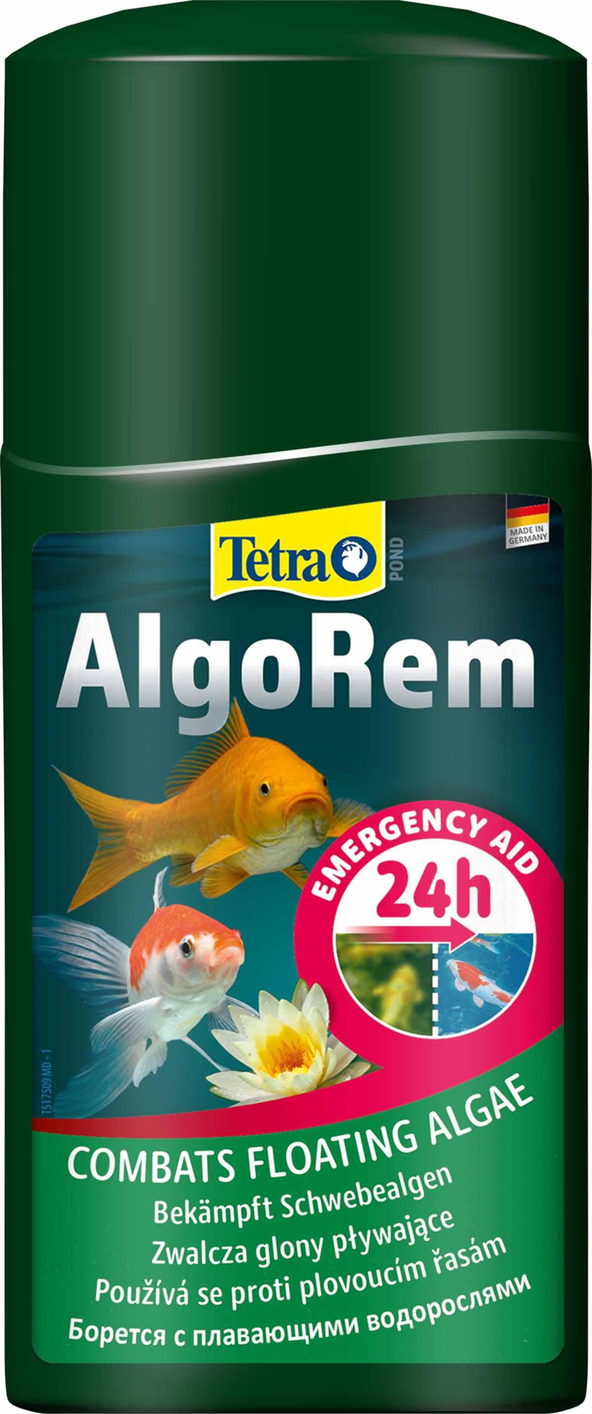 53174384394569_image1
