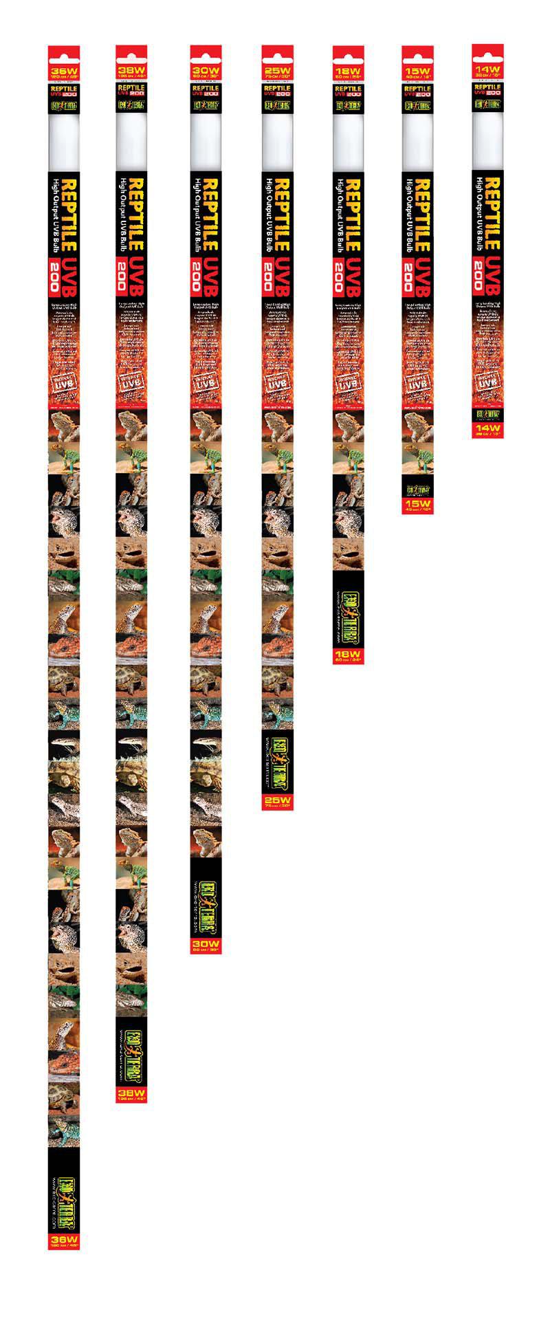 53266666488137_image1