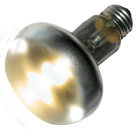 220.2040_image2