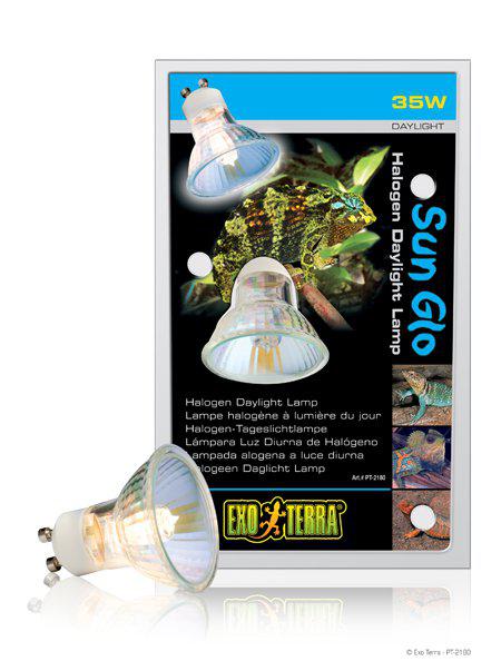 53175704617289_image1