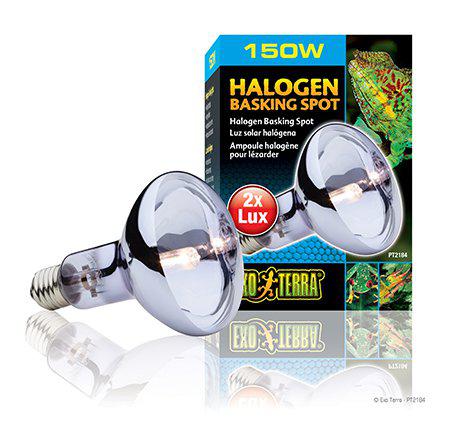 53176034984265_image1