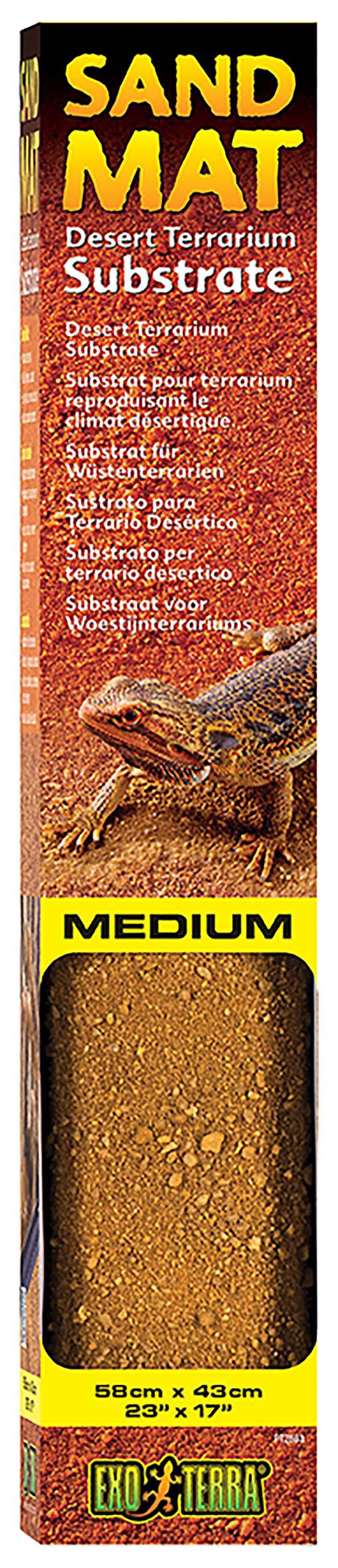 53177824772425_image1