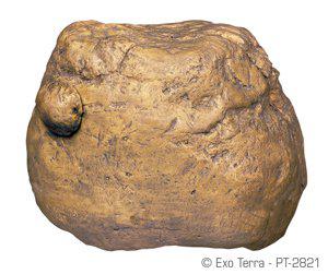 232.0821_image1