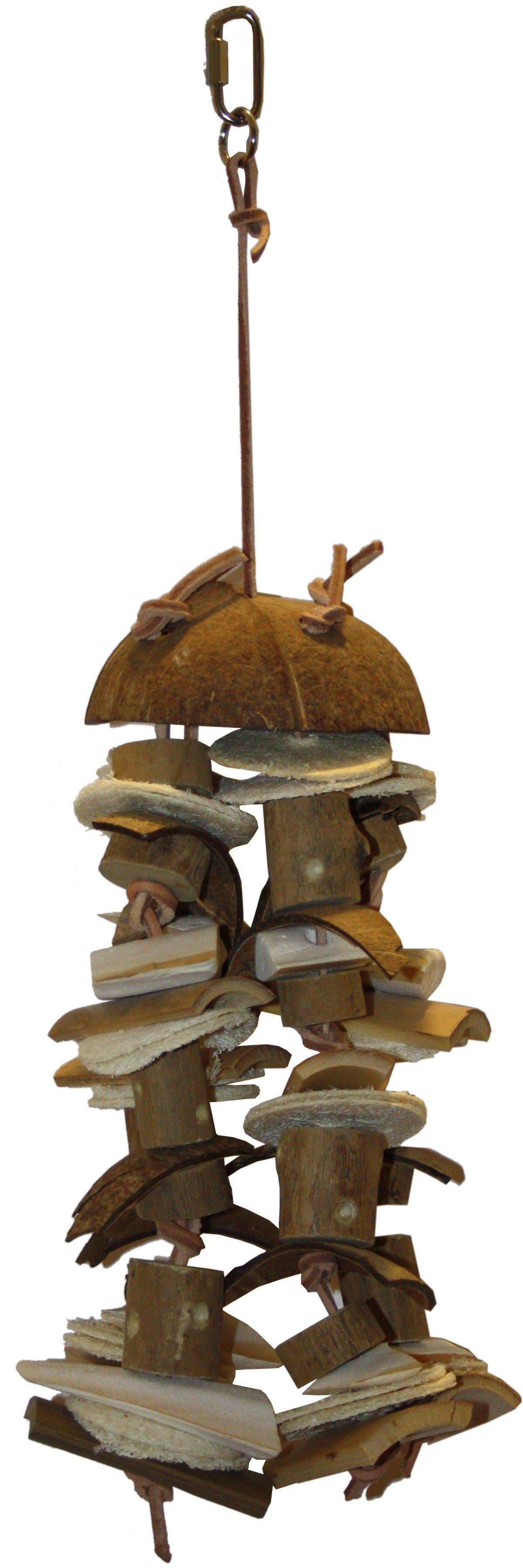 53174087844169_image1