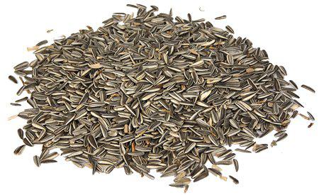 400.0130_image1