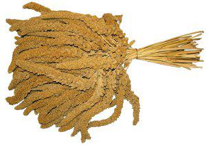400.0350_image1