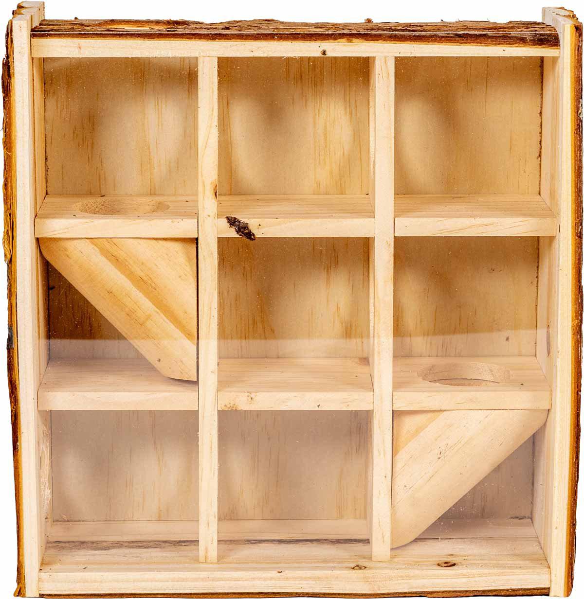 53174126936393_image1