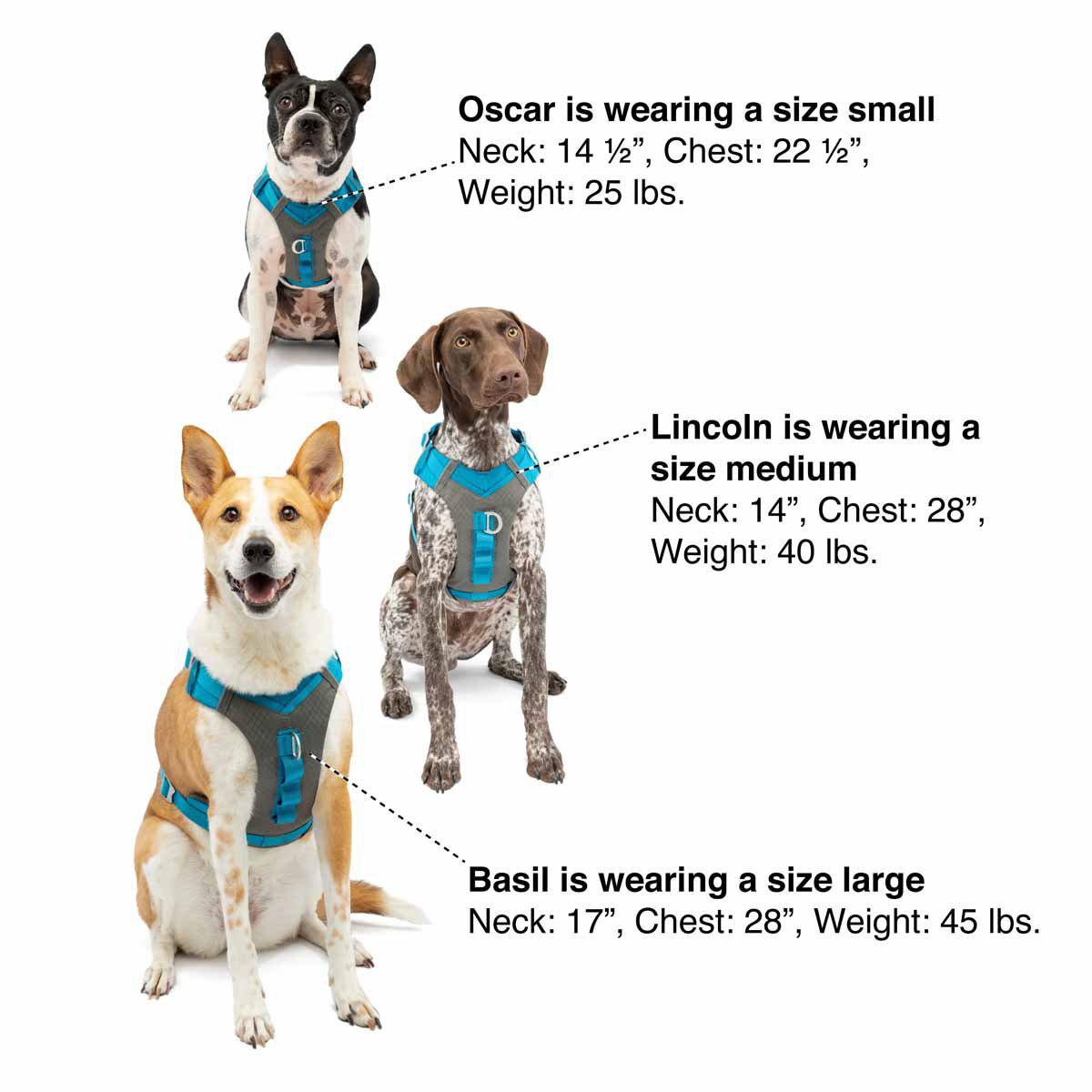 604.1010_image34