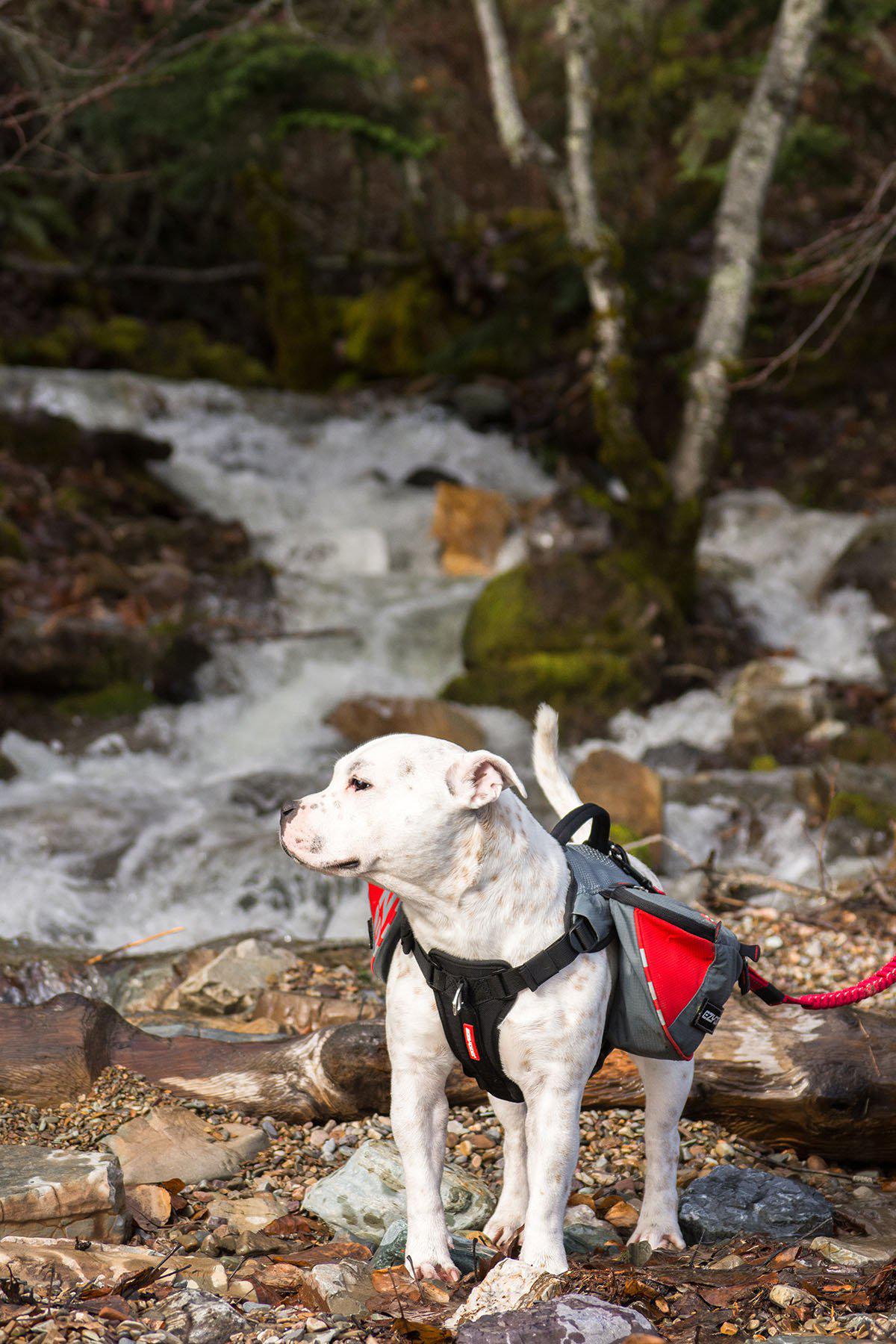 605.0500_image9