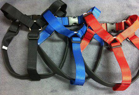 605.1030_image2