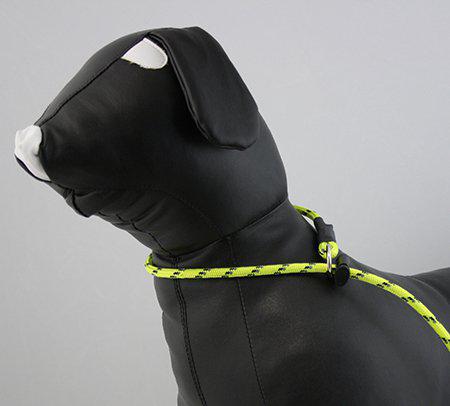 53178885275977_image1