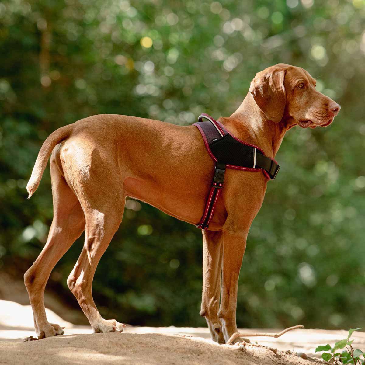 617.6120_image4