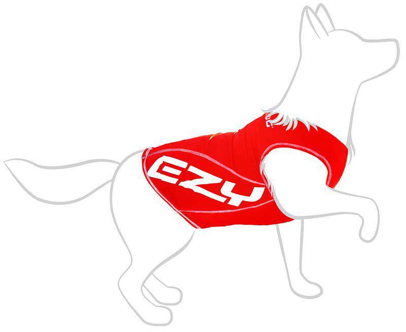 53173948285257_image1