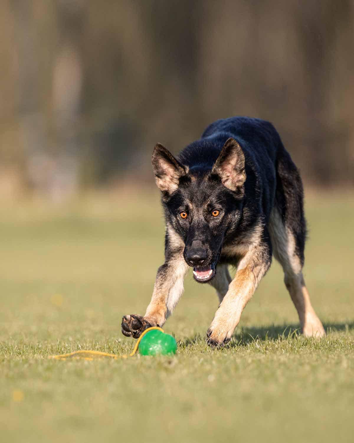 635.1900_image4