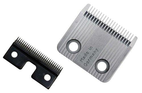 53177339347273_image1