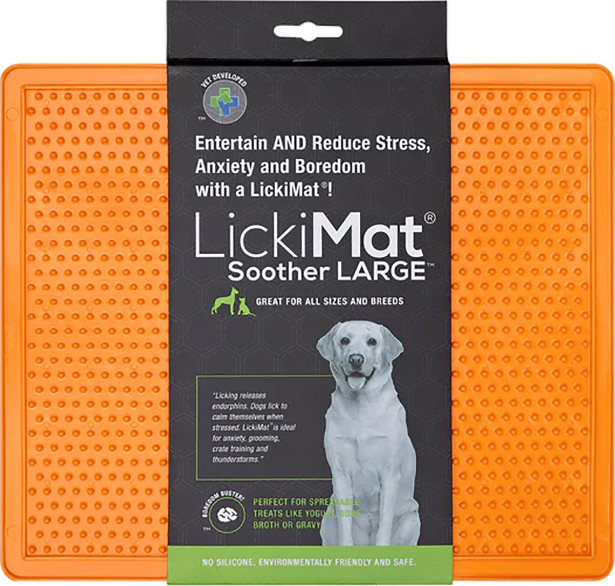 53266611241289_image1