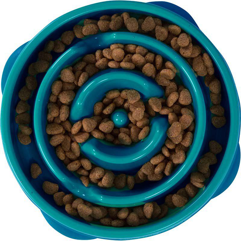 53178353353033_image1