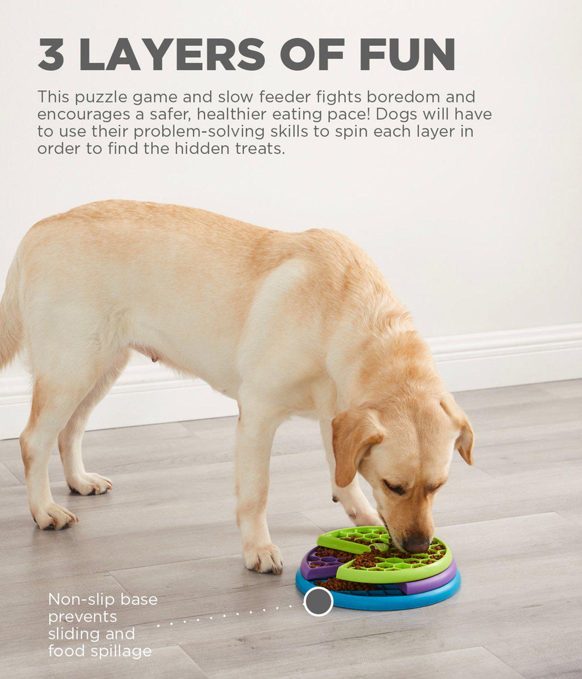 645.5580_image2