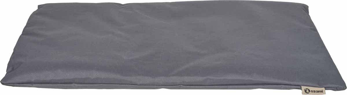 53175757209929_image1