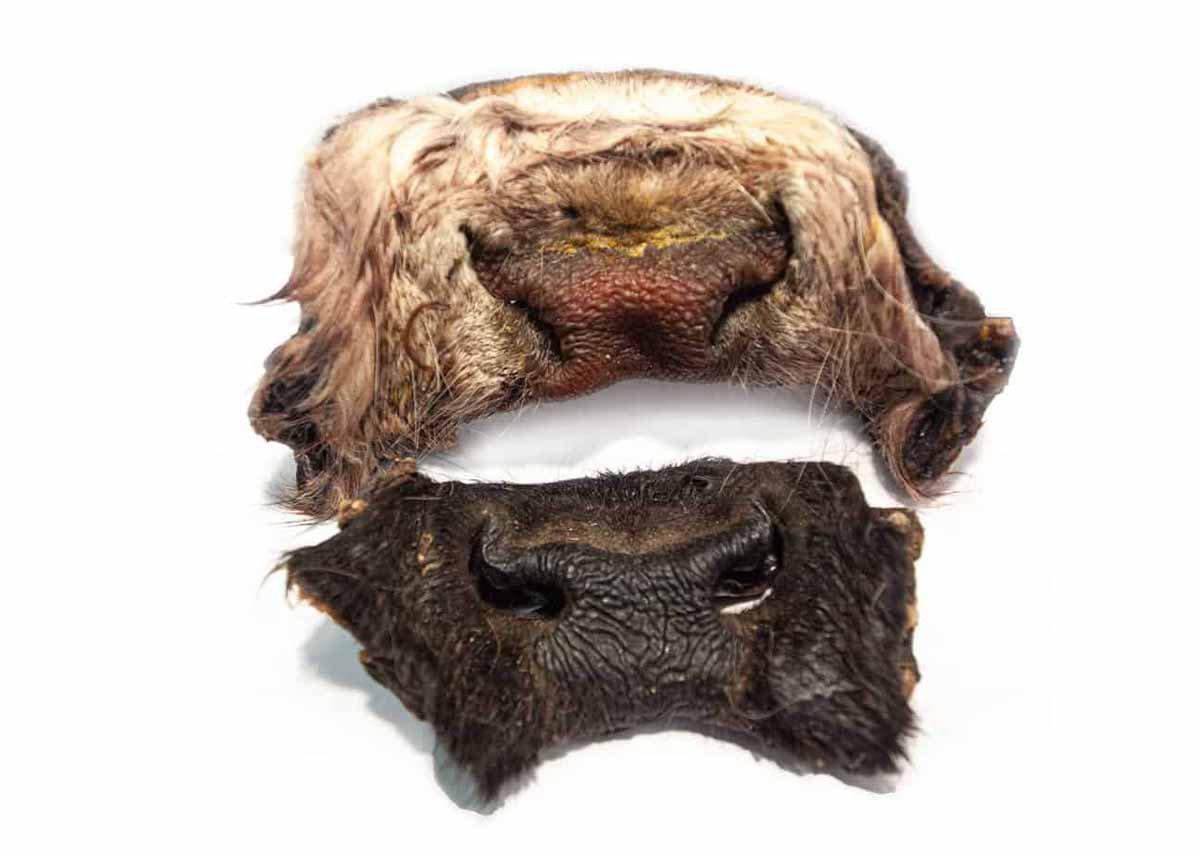 696.0158_image1