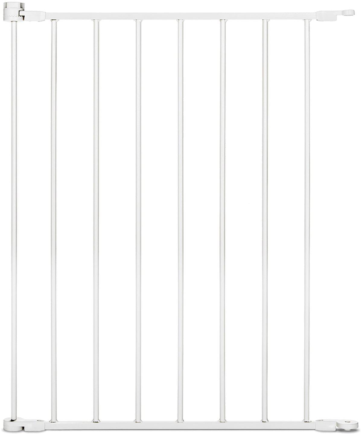 53175918494025_image1