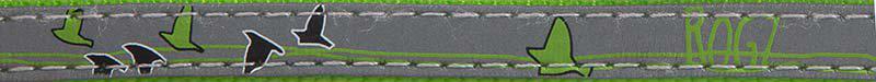 765.5016_image2