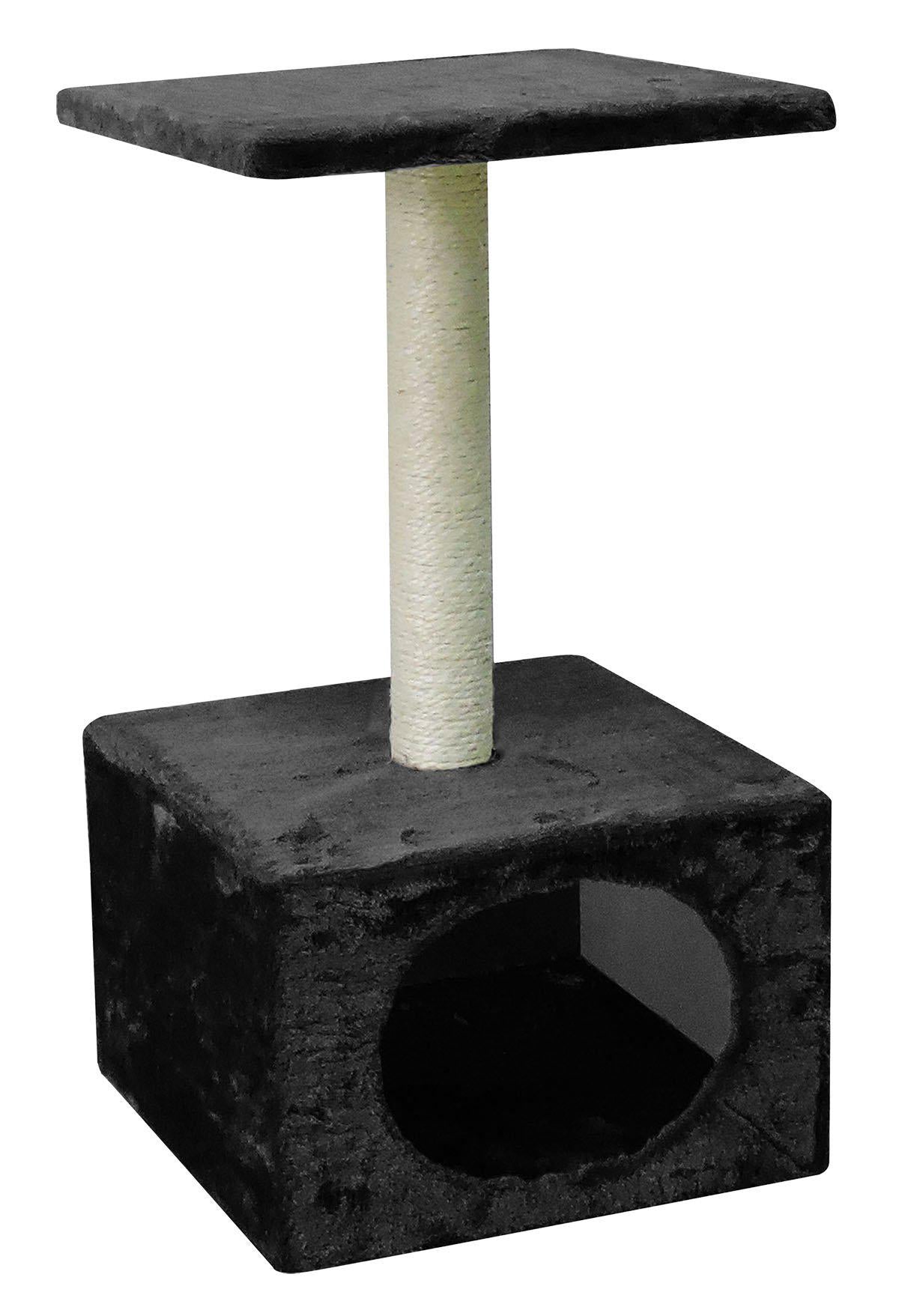 53177056723273_image1