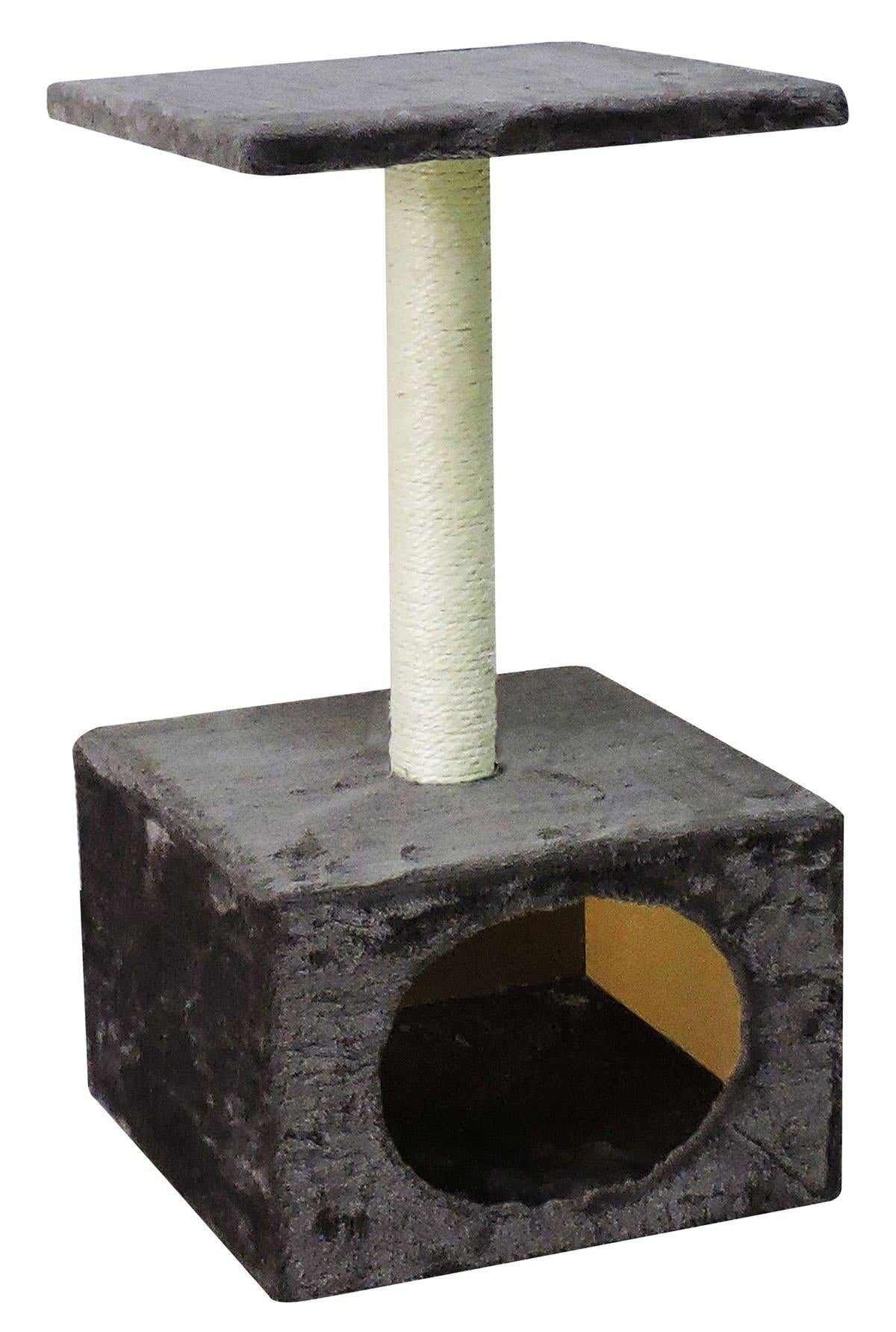 53178831896905_image1