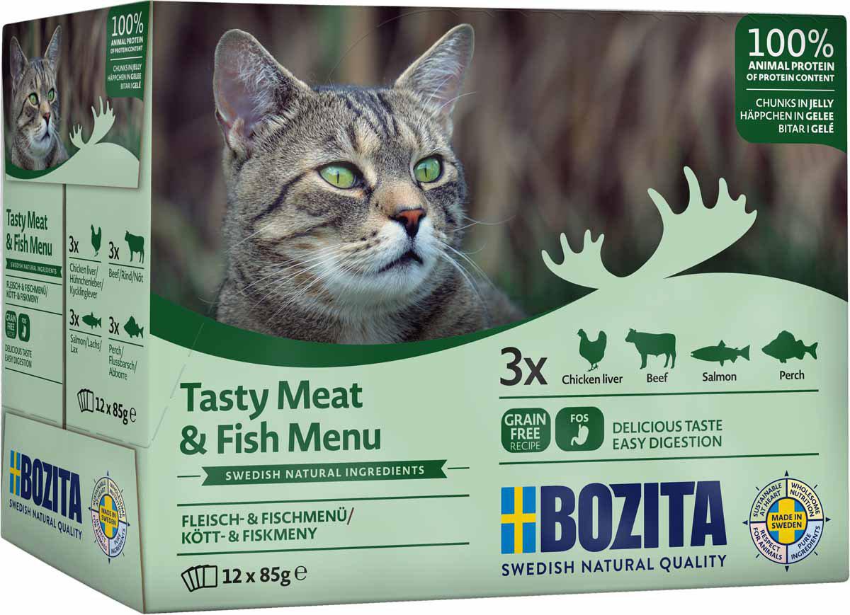53174573433161_image1